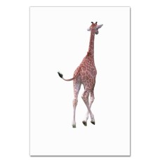 Notebooks A5 with print Giraffe Going Somewhere -