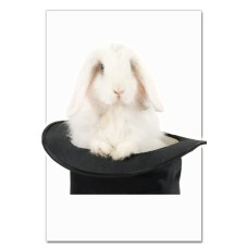 Notebooks A5 with print White Rabbit In Hat -