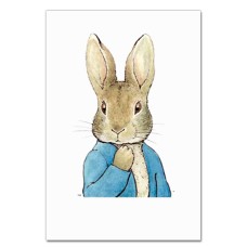 Notebooks A5 with print Rabbit In Blue Shirt -