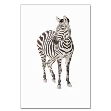 Notebooks A5 with print Zebra Stands -