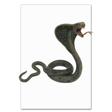 Notebooks A5 with print Evil Snake -
