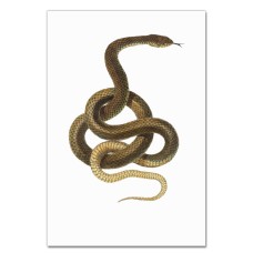 Notebooks A5 with print Yellow Snake Jigsaw -