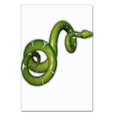 Notebooks A5 with print Green Snake -