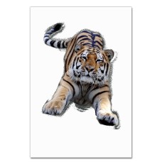 Notebooks A5 with print Cute Tiger -