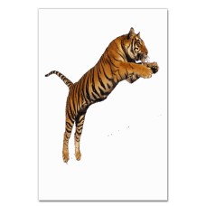 Notebooks A5 with print Tiger Jumps -