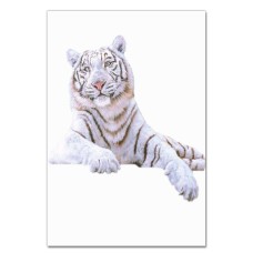 Notebooks A5 with print White Tiger -