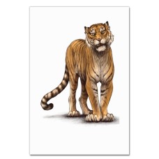 Notebooks A5 with print Tiger -