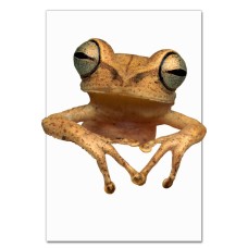 Notebooks A5 with print Yellow Frog -