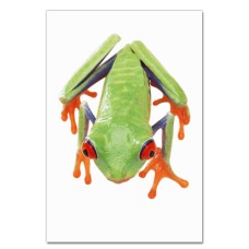 Notebooks A5 with print Frog With Orange Legs -