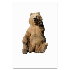 Notebooks A5 with print Cute White Bear -