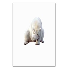 Notebooks A5 with print Funny White Bear -