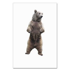 Notebooks A5 with print White Bear Stands -