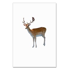 Notebooks A5 with print Dear With White Spots -
