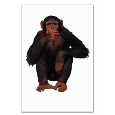 Блокнот А5 з принтом Мавпа Боїться -