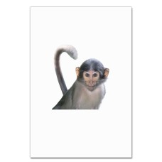 Notebooks A5 with print Cute Monkey With Gren Eyes -
