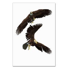 Notebooks A5 with print Two Eagles Fly -