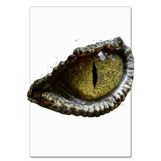 Notebooks A5 with print Green Eye Of Dinosaur -