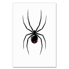 Notebooks A5 with print Spider -