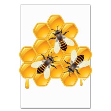 Notebooks A5 with print Three Bees And Honey -