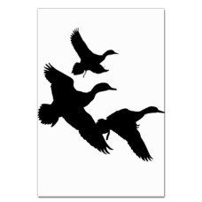Notebooks A5 with print Three Ducks Fly -