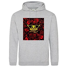 Hoodie with Print Aerosmith 2 - 2XL grey