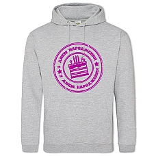 Hoodie with Print Birthday Cake With A Print In Pink - 2XL grey