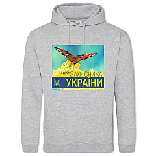 Худи с принтом С Днем Защитника Украины Бабочка На Цветке - 2XL серый