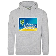 Hoodie with Print Constitution Day Coat Of Arms On Flag Background - 2XL grey