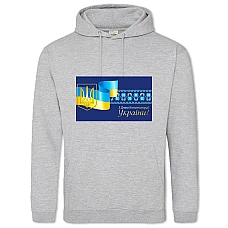 Hoodie with Print Constitution Day On The Background Of The Coat Of Arms Embroidered Flag - 2XL grey