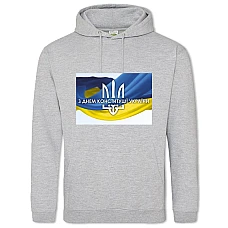 Hoodie with Print Constitution Day Emblem Flag - 2XL grey