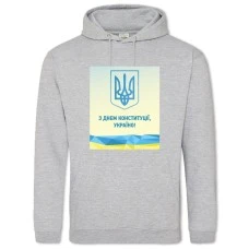 Hoodie with Print Constitution Day Emblem - 2XL grey