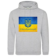 Hoodie with Print Constitution Day Flag Emblem And Contrast - 2XL grey
