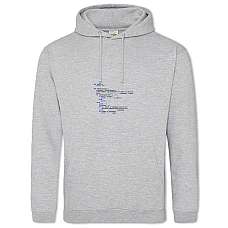 Hoodie with Print Day Of The Programmer Program's Code - 2XL grey