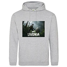 Hoodie with Print Dayz Livonia - 2XL grey