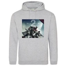 Hoodie with Print Destiny 2 - 2XL grey