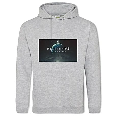 Hoodie with Print Destiny 2 Shadowkeep - 2XL grey