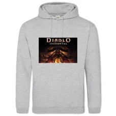 Hoodie with Print Diablo Immortal - 2XL grey