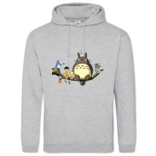 Hoodie with Print Tonari No Totoro Main Heroes - 2XL grey