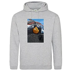 Hoodie with Print Angry Birds Black - 2XL grey