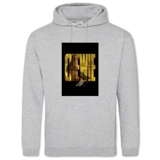 Hoodie with Print Star Wars Chewie - 2XL grey