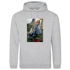 Hoodie with Print Alice In Wonderland Characters - 2XL grey