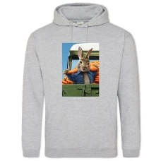 Hoodie with Print Peter Rabbit Cute Hero - 2XL grey