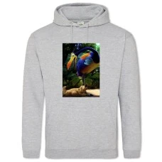 Hoodie with Print Up Dug With Bird - 2XL grey