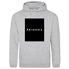 Hoodie with Print Friends Main Logo - 2XL grey
