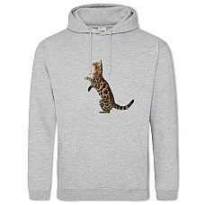 Худи с принтом Бангалская Кошка - 2XL серый