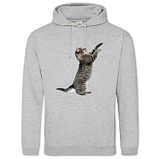 Hoodie with Print Funny Grey Kitten - 2XL grey