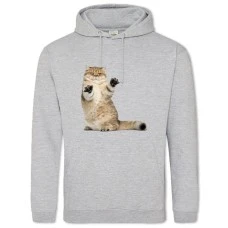 Худи с принтом Смешные Атаки Кошек - 2XL серый