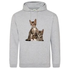 Hoodie with Print Two Cute Kittens - 2XL grey