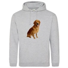 Hoodie with Print Golden Retriever - 2XL grey