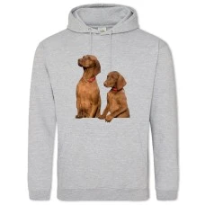 Hoodie with Print Two Dogs Look Somewhere - 2XL grey